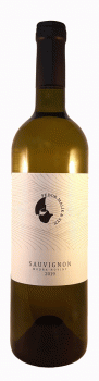 Sauvignon 2019 Qualitätswein trocken