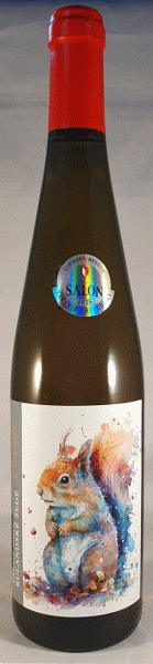 Grauburgunder 2022 ORANGE-Wein trocken