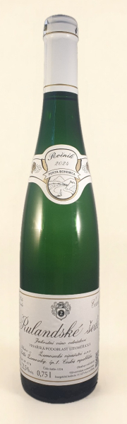 Grauburgunder 2024 trocken